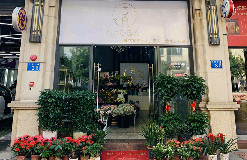 15914282138����ʻ��������