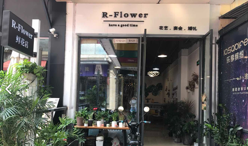 18476891873R-Flower�ʻ��������
