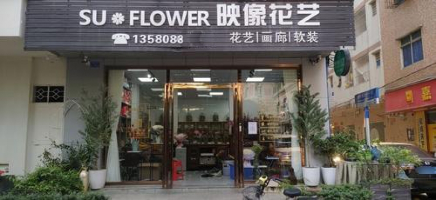 映像花艺图片