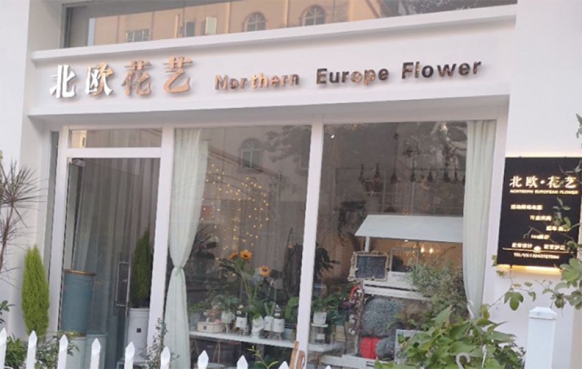北欧花艺图片