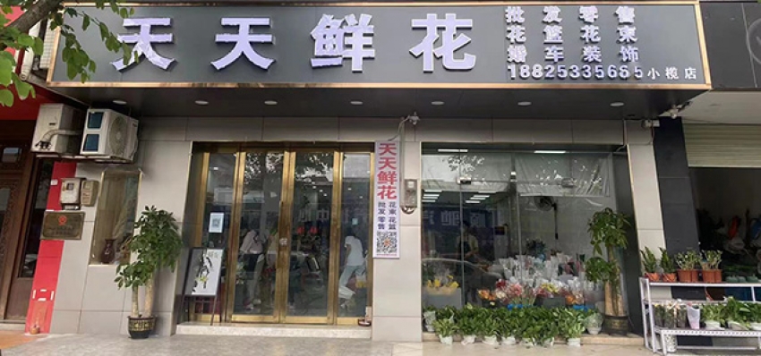 天天鲜花店图片