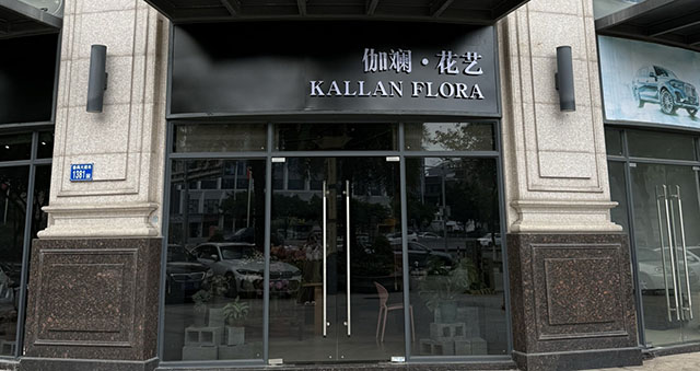 13533371178٤쵡�����Kallan Flora�����