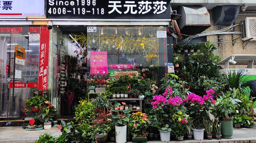 天元莎莎花店图片
