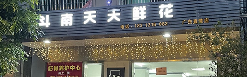 天天鲜花店图片