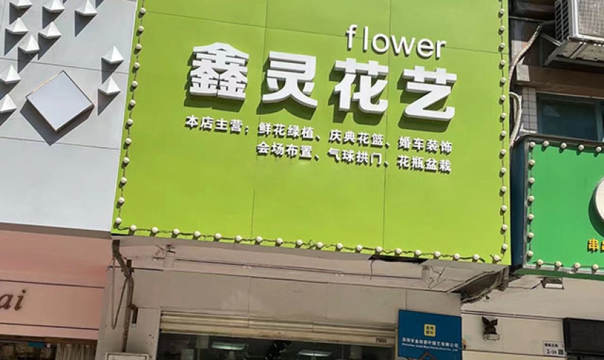 鑫灵花艺店鲜花.绿植气球派对图片