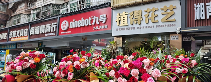 植得花艺图片