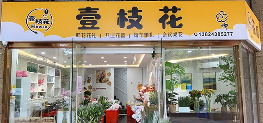 壹枝花鲜花店图片
