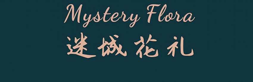 Mystery Flora迷城花礼图片