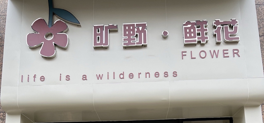 旷野鲜花FLOWER店图片