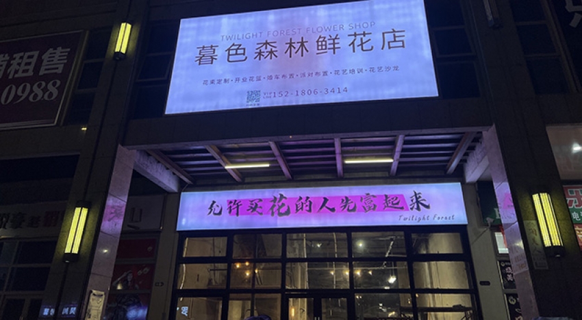 暮色森林鲜花店图片