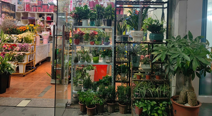 花之缘花店图片