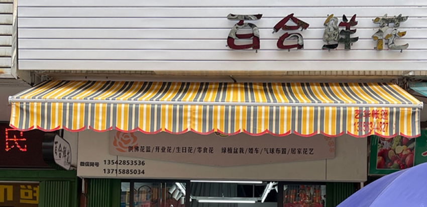 百合鲜花店图片