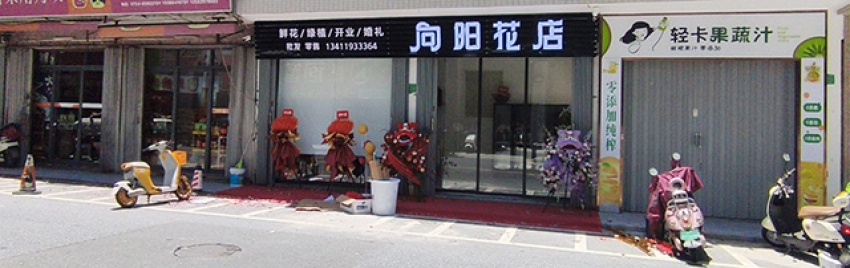 向阳花店图片