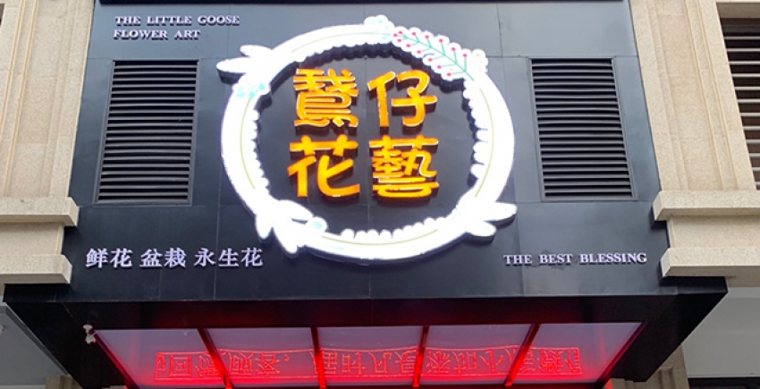 鵞仔花艺图片