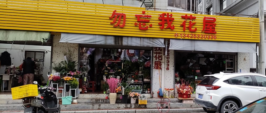 勿忘我花店图片