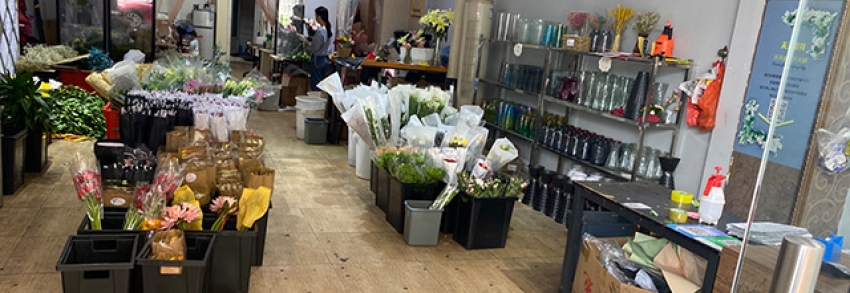 天天鲜花店图片