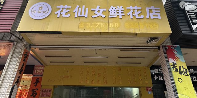 15975666554����Ů�ʻ��������