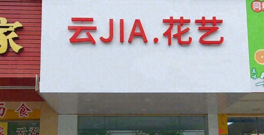 云JIA.花艺图片