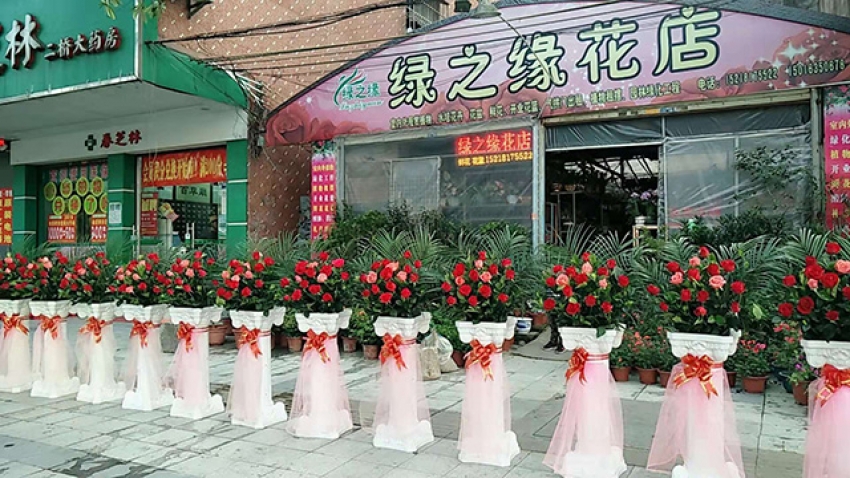 绿之缘花店图片