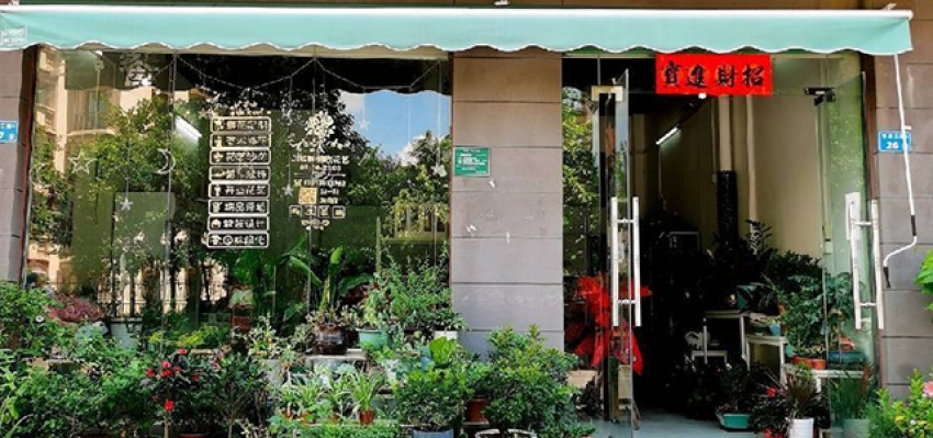 JINSIN·锦欣花店图片