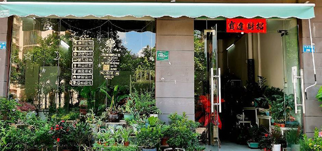 18218532762JINSIN���������������