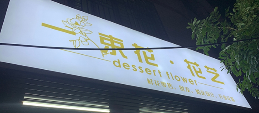 一束花·花艺图片