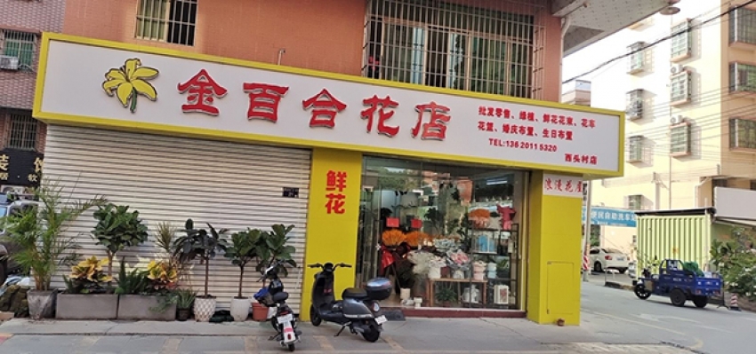 金百合花店图片