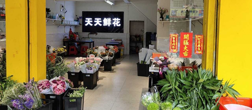 天天鲜花店图片