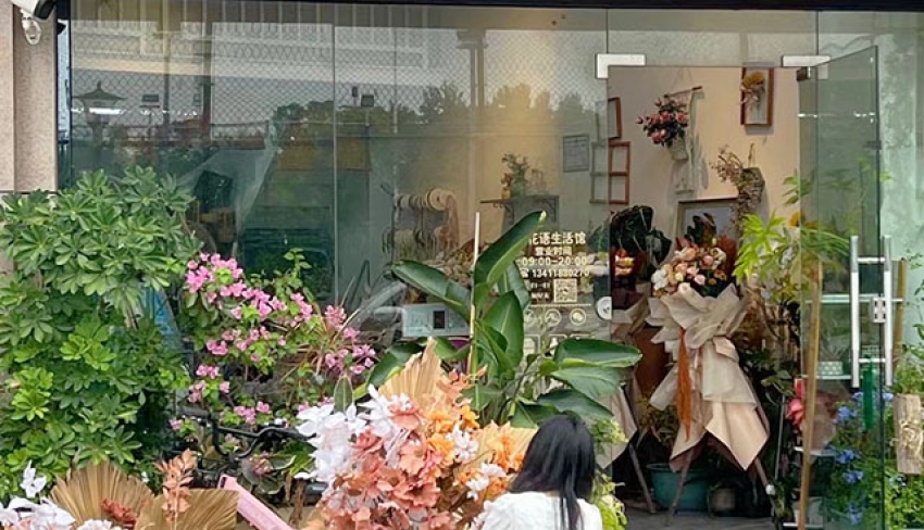 ���ﻨ��ͼƬ