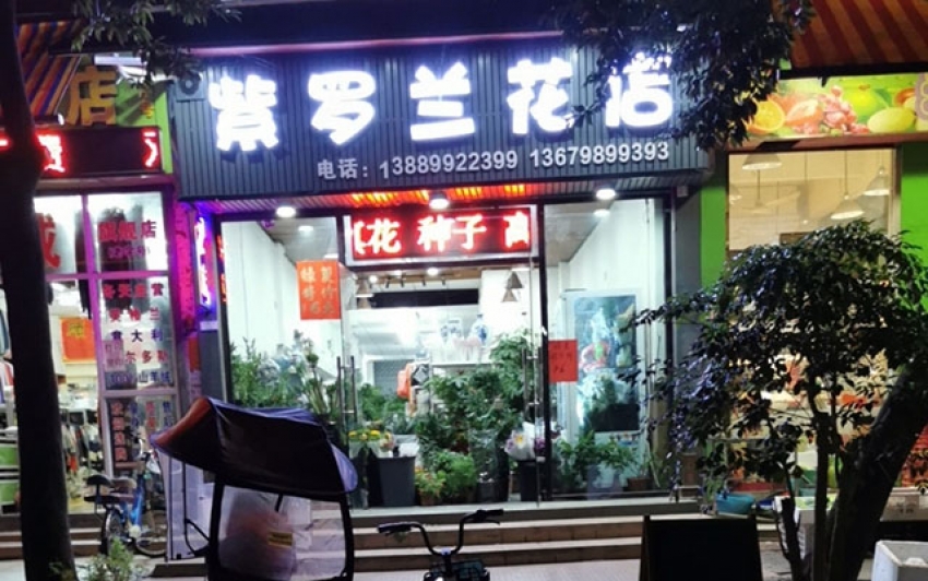 紫罗兰花店图片