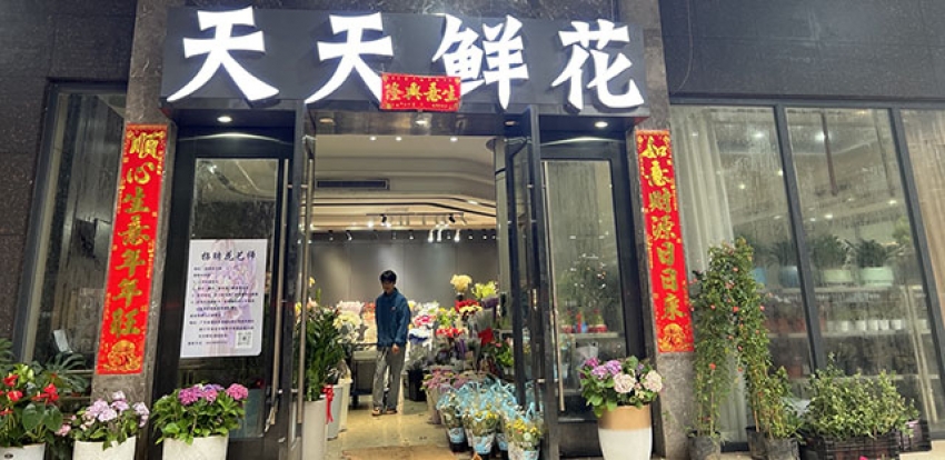天天鲜花店图片