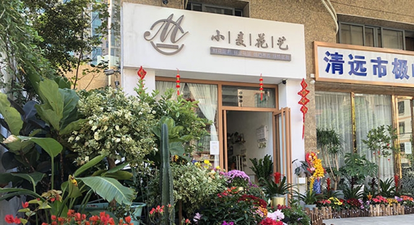 小麦鲜花店图片