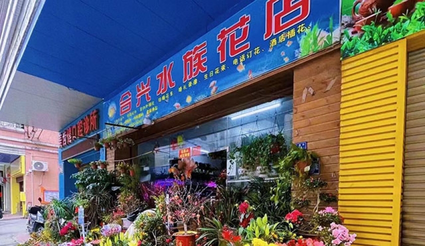 合兴水族花店图片