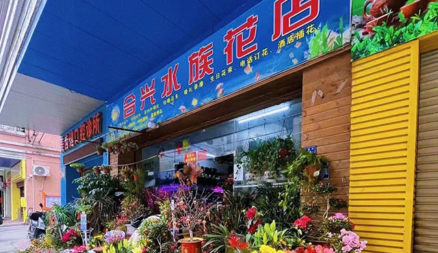 15915180162����ˮ�廨�������
