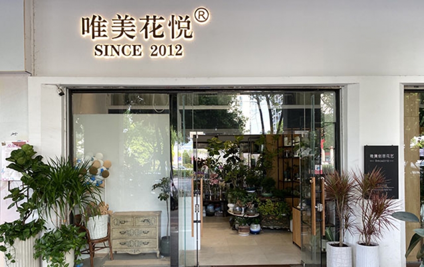 Ψ�����⻨�չ�����ͼƬ