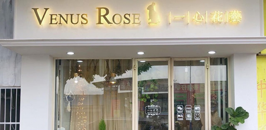 һ�Ļ���ͼƬ