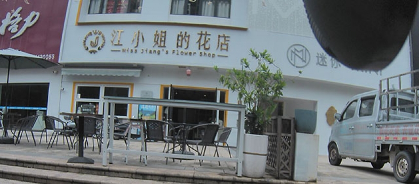 江小姐的花店图片