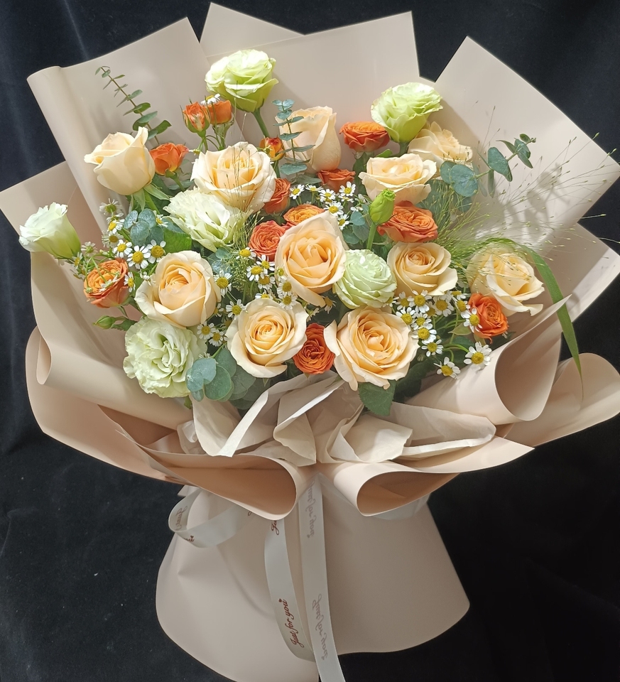 18219222432�һỨ�ջ��������