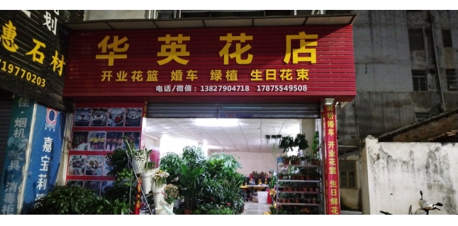�Ƽ�����