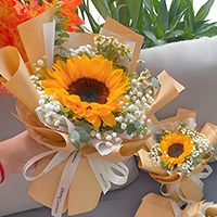 �ʻ���Ԣ��